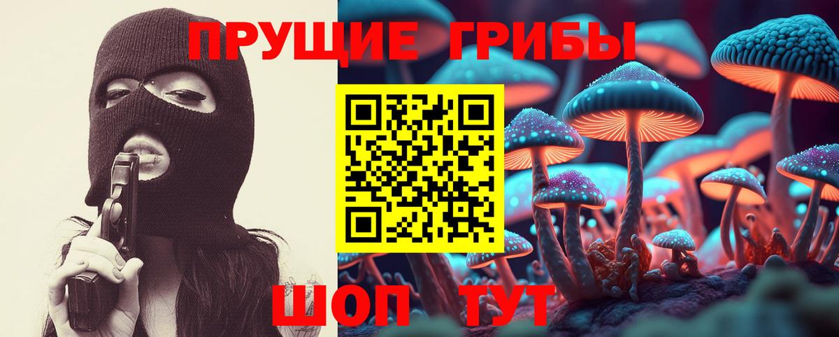 Псилоцибиновые грибы Psilocybine cubensis  Вход с VPN  Галлюциногенные грибы Cubensis  Бор 